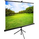 Экран Cactus TriExpert CS-PSTE-200x150-BK, 200х150 см, 4:3, напольный черный