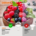 Лампа светодиодная LED Value LVPAR1635 5SW/840 5Вт GU10 230В 10х1 RU OSRAM ...