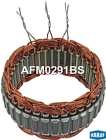 AFM0291BS, Статор генератора