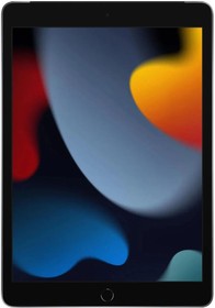 Фото 1/4 Планшет Apple 10,2-inch iPad Wi-Fi + Cellular 256GB серый космос(MK4E3ZP/A)