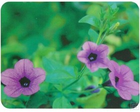 Фото 1/4 Коврик для мыши Buro BU-M20012 (S) рисунок/цветы, PVC, 230х180х2мм