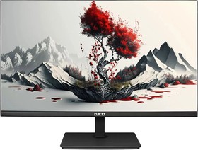 Фото 1/4 Монитор RDW Computers 23.8" RDW2401K черный IPS 6ms 16:9 HDMI матовая 250cd 178гр/178гр 1920x1080 75Hz VGA DP FHD (RUS)