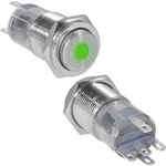 LAS2GQPH-11ZD/G/N on-on, Кнопка антивандальная LAS2GQPH-11ZD/G/N, ON-ON ...