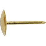 Гвозди обивочные 20 золото (100 шт) 003156