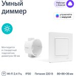 D-10000-06, Умный выключатель-диммер UJIN WiFi Z1