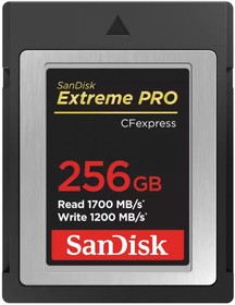 Фото 1/4 Карта памяти Sandisk Extreme Pro CFExpress Type B 256Gb 1700/1200 Mb/s (SDCFE-256G-GN4NN)