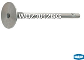 Фото 1/2 WOZ1012GG, Клапан выпускной