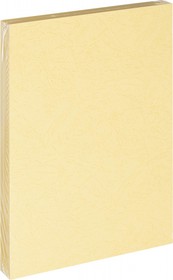 Фото 1/3 Обложки для переплета картонные бежевые, кожа, A4, 230 гр/м?, 100 шт./уп