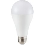 249 VT-295, LED Light Bulb, GLS, E27 / ES, Теплый Белый, 3000 K, Без Затемнения, 200°
