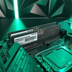 Оперативная память Patriot Signature Line (PSD532G48002)