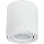 Arte Lamp A5559PL-1WH FANG Точечный накладной светильник GU10