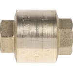 Brass Single Check Valve, BSPP 3/8in, 12 bar