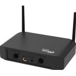 Микрофон RITMIX RWM-222 черный