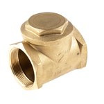 Brass Single Check Valve, BSP 2in, 16 bar