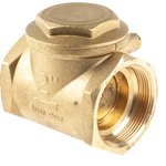 Brass Single Check Valve, BSP 2in, 16 bar