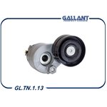 GL.TN.1.13, Ролик натяжителя RENAULT Duster 2,0 ремня ГРМ [натяжитель] в сб ...