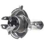 Лампа 12V H19 60/55W PU43t GANZ 1 шт. картон GIP06091