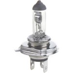 Лампа 12V H19 60/55W PU43t GANZ 1 шт. картон GIP06091