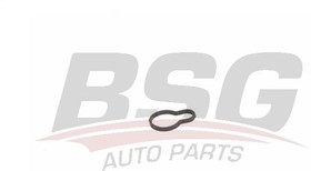 bsg60-116-005, Крышки клапана уплотнение