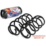 10088, Пружина подвески