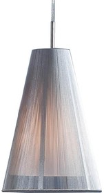 Фото 1/4 Подвесной светильник Citilux Серебристый CL936003