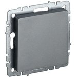 BRITE Plug with caliper MZ10-BrS steel IEK
