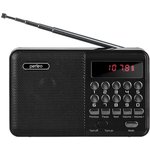 Радиоприемник цифровой PALM FM MP3 черный 30012772