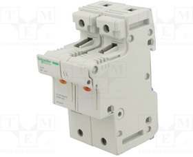A9GSB250, Fuse base; for DIN rail mounting; Poles: 2