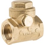 Brass Single Check Valve, BSP 1/2in, 16 bar