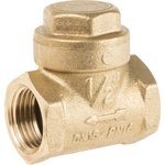 Brass Single Check Valve, BSP 1/2in, 16 bar