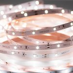 Светодиодная лента MAKSILED 12В, 7.2Вт/м, 30SMD(2835)/м, 750лм/м, 6500К, IP20 ...