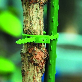 Фото 1/6 Подвязки для растений GREEN APPLE GTT-26 регулируемые 13 см