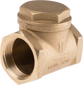 Фото 1/3 Brass Single Check Valve, BSP 1-1/2in, 16 bar