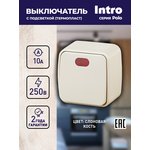 3-102-02 Intro Выключатель с подсветкой, 10А-250В, IP20, ОУ, Polo, сл.кость