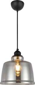 Декоративный светильник на подвесе SHARP Титановый E27 1M СТЕКЛО 021-019-0001 HRZ33003035