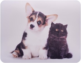 Фото 1/4 Коврик для мыши Buro BU-M40095 Мини рисунок/котенок и щенок 230x180x2мм