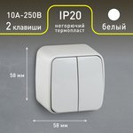 3-104-01 Intro Выключатель двойной, 10А-250В, IP20, ОУ, Polo, белый