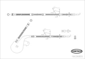 Фото 1/2 19036855, Шланг тормозной передн лев CITROEN: C5 08-, C6 05-12 \ PEUGEOT: 407 05-10