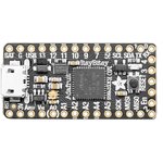 3727, Development Boards & Kits - ARM Adafruit ItsyBitsy M0 Express