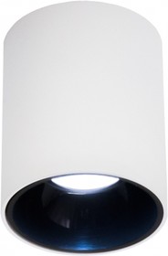Фото 1/5 Потолочный светильник Старк, белый+черный 12Wх3500K CL7440101