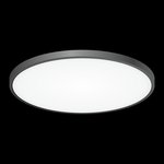 Накладной светильник Бейсик, черный LED 50WхМульти CL738501V
