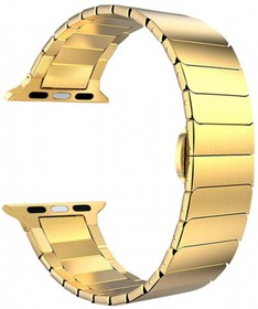 Ремешок из нержавеющей стали Lyambda Canopus для Apple Watch 38/40 mm DS-APG-05-40-GL Gold