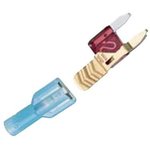 BP/ATM-TAP-RP, Fuse Kits & Assortments ATM STYLE NON FUSED TAPS - 5 PER CARD
