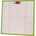 Квантум борд ЭРА FITO-80W-LED-QB Quantum board фитопрожектор полного спектра 80 ...