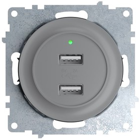 Фото 1/3 2260091, Розетка USB двойная, с подсветкой, цвет серый