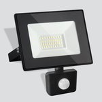 030 FL LED / Прожектор Elementary (с датчиком) 50W 6500K IP44
