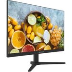 Монитор Hikvision 23.8" DS-D5024FN10 черный TFT LED 5ms 16:9 HDMI матовая 250cd ...