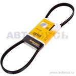 4PK875, Ремень поликлиновой ALFA ROMEO \ HONDA \ HYUNDAI \ KIA \ LEXUS \ MAZDA \ ...