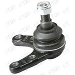 cbmz-43, Опора шаровая нижняя MAZDA BT50 2006 - / FORD Ranger 2005 - 2012 4WD