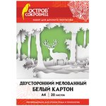 Картон белый А4 МЕЛОВАННЫЙ (белый оборот), 20 листов, в папке, ОСТРОВ СОКРОВИЩ ...